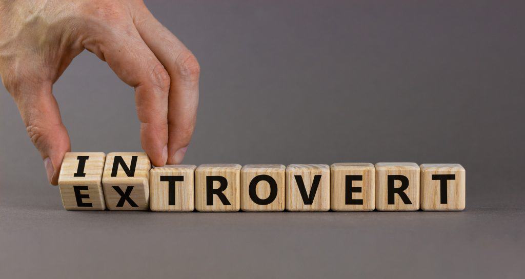 Što je introvert